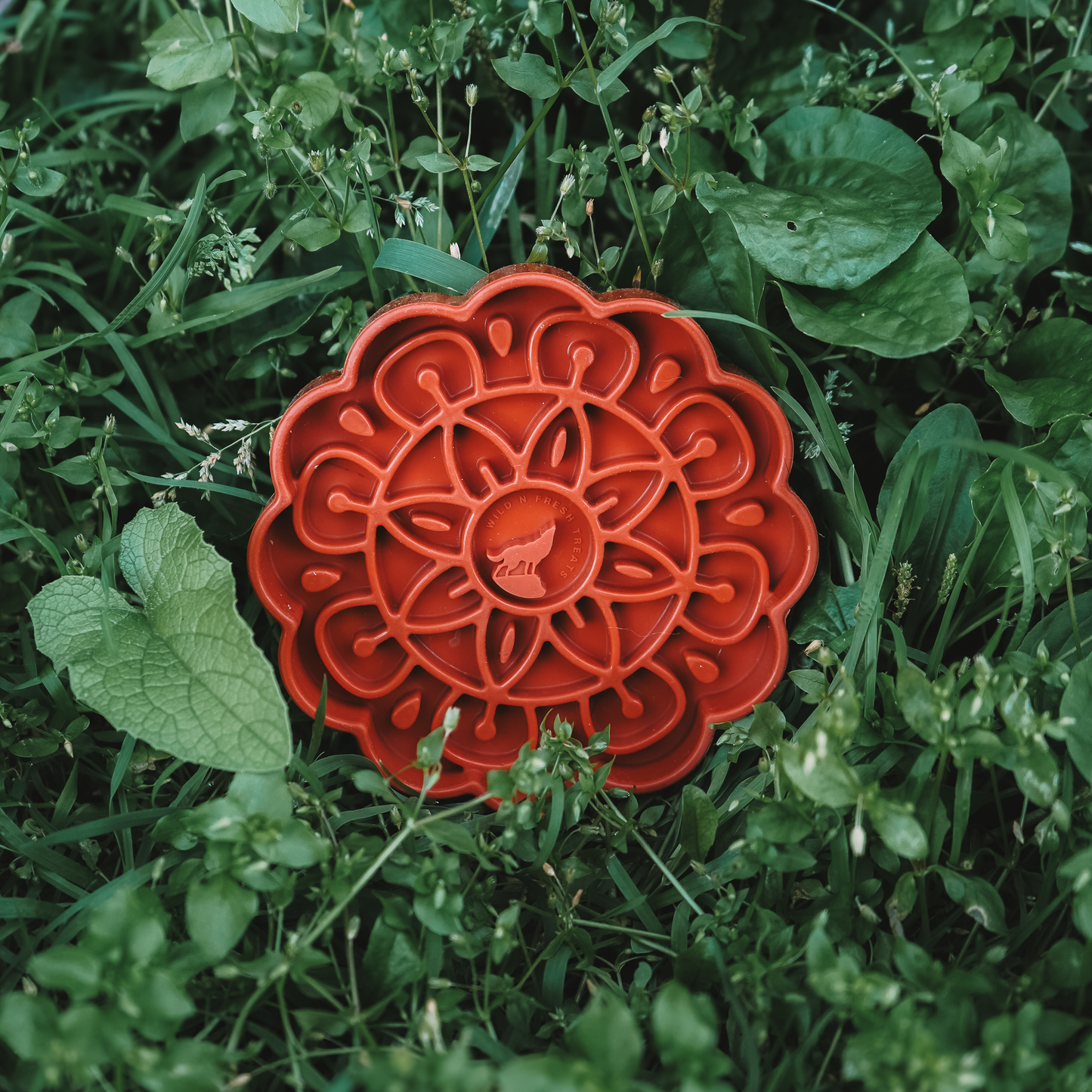 Mini Mooncake Grub Mat | Lick Mat