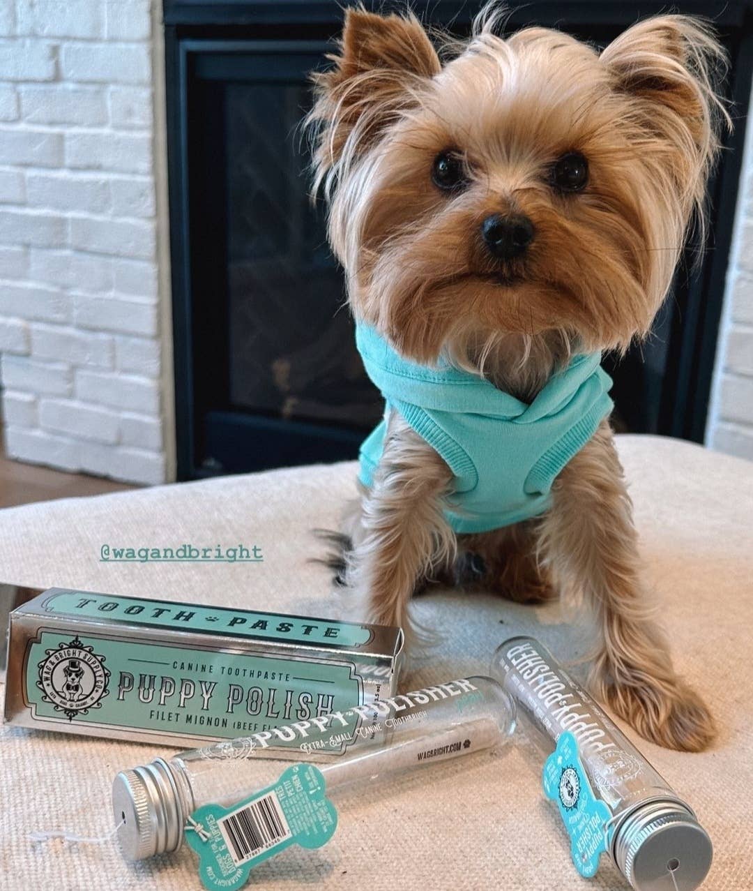 Puppy Polish Toothpaste - Beef Filet Mignon