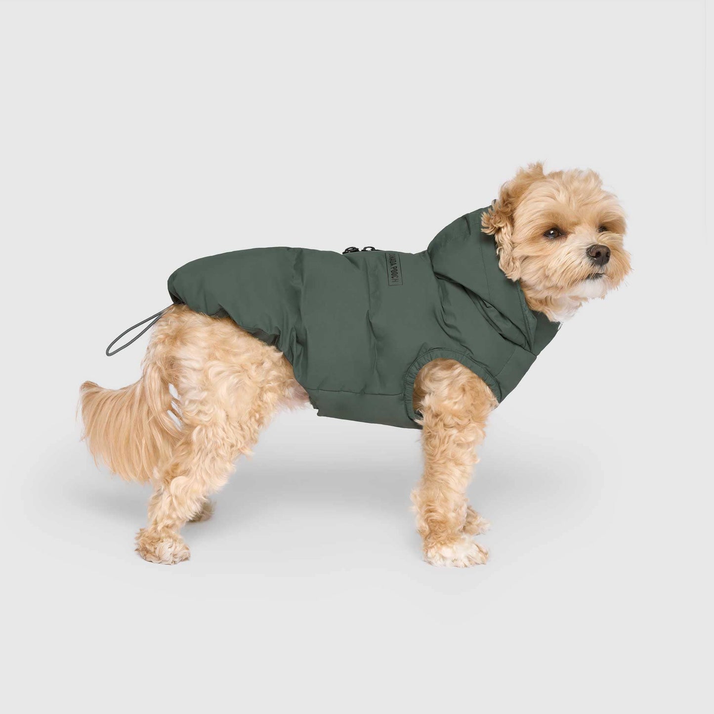 Waterproof Dog Puffer: Black / 18