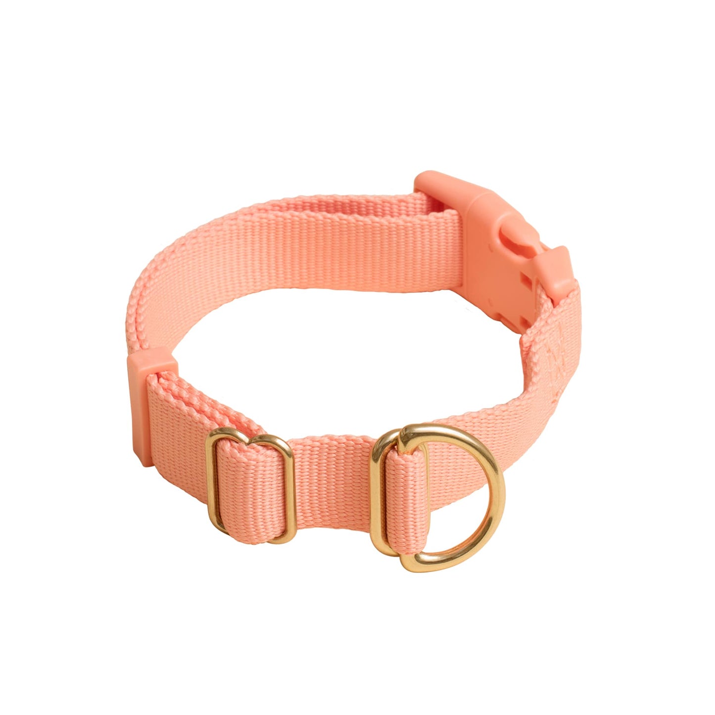 Pack Collar: PINE / Large