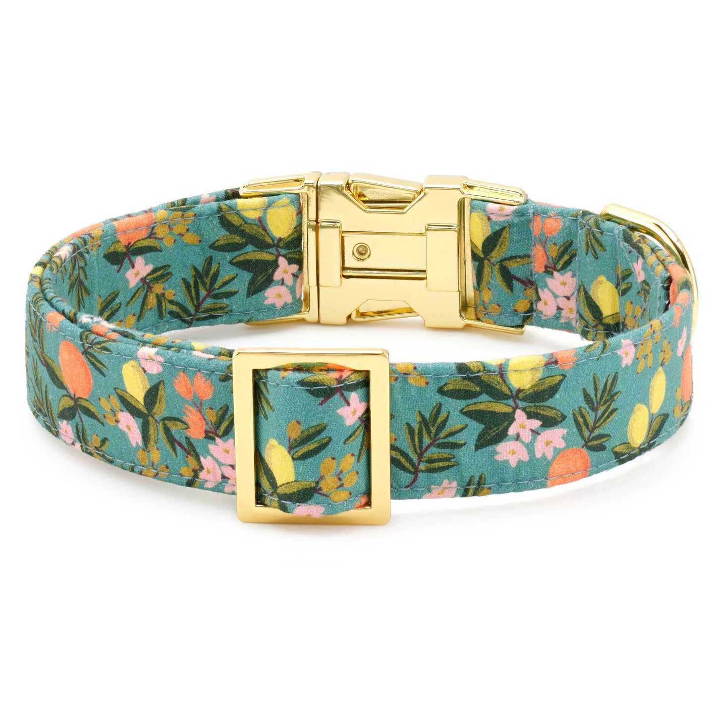 Citrus Floral Dog Collar