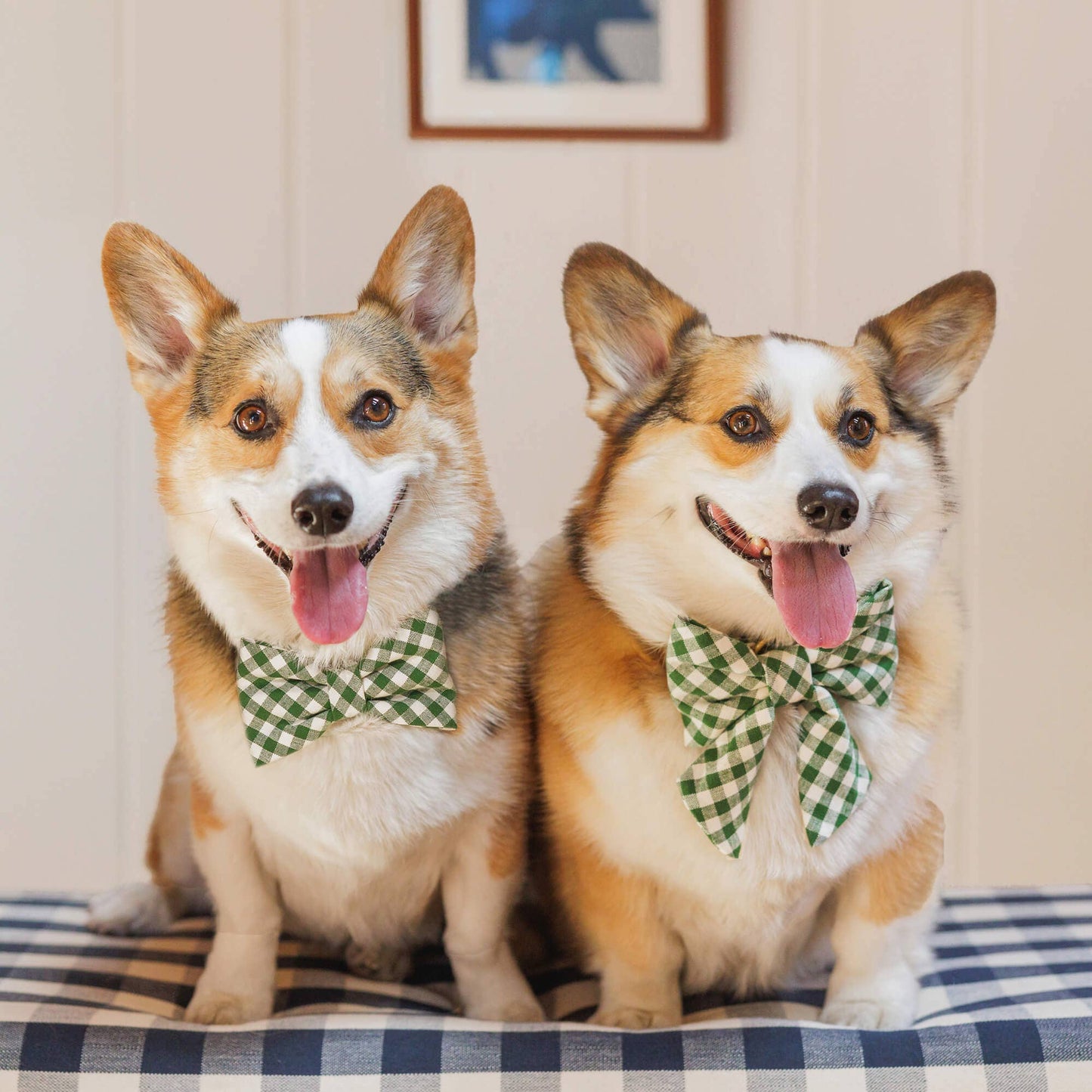 Plaid Hunter Green Bow Tie