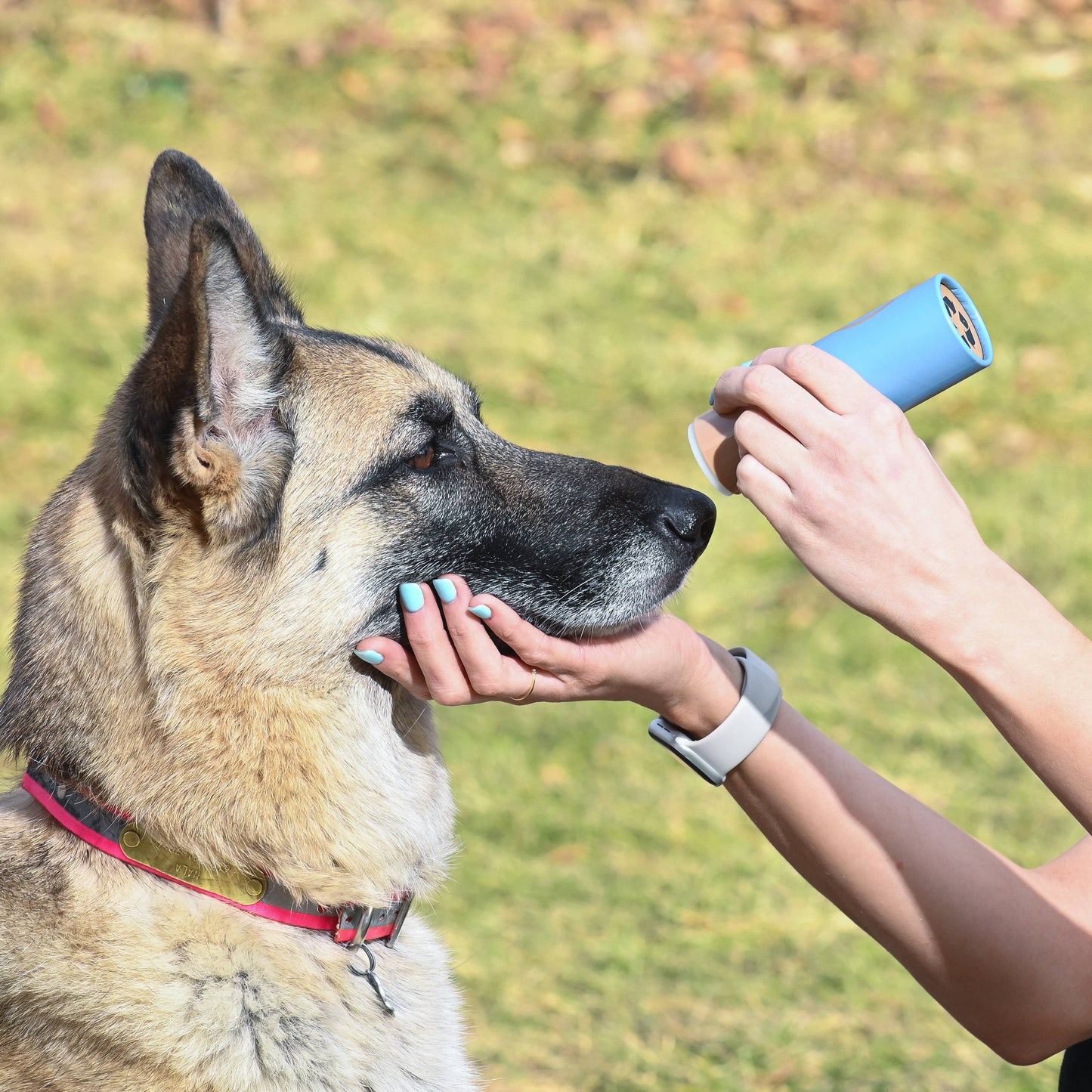 Dog Healing Snout Balm - 2oz