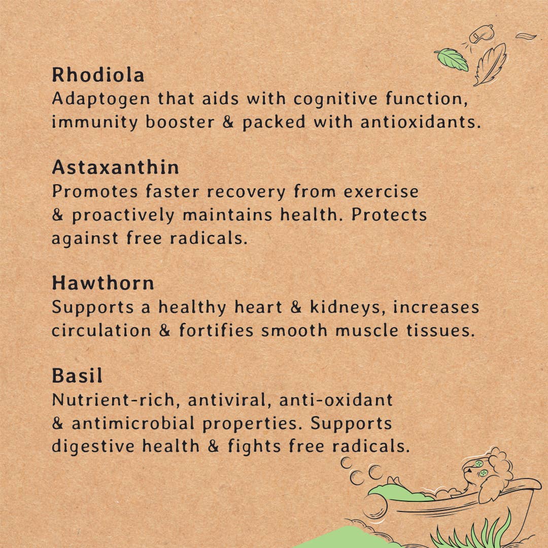 Gizzls 100% Natural Dog Treats for Seniors