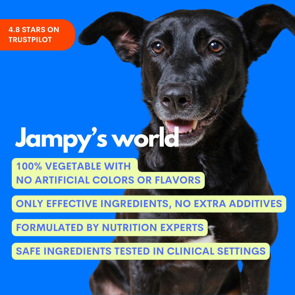 The Good Boy - Multivitamin 5 in 1 Powder Plant-based : 1 pack