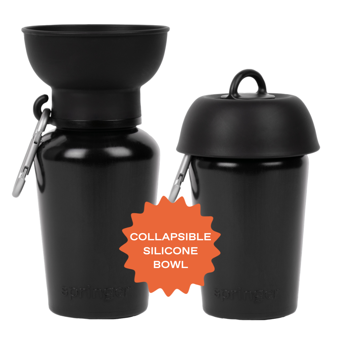 Dog Travel Water Bottle, 20oz, Flip Silicone (Mixed 12 Pack)
