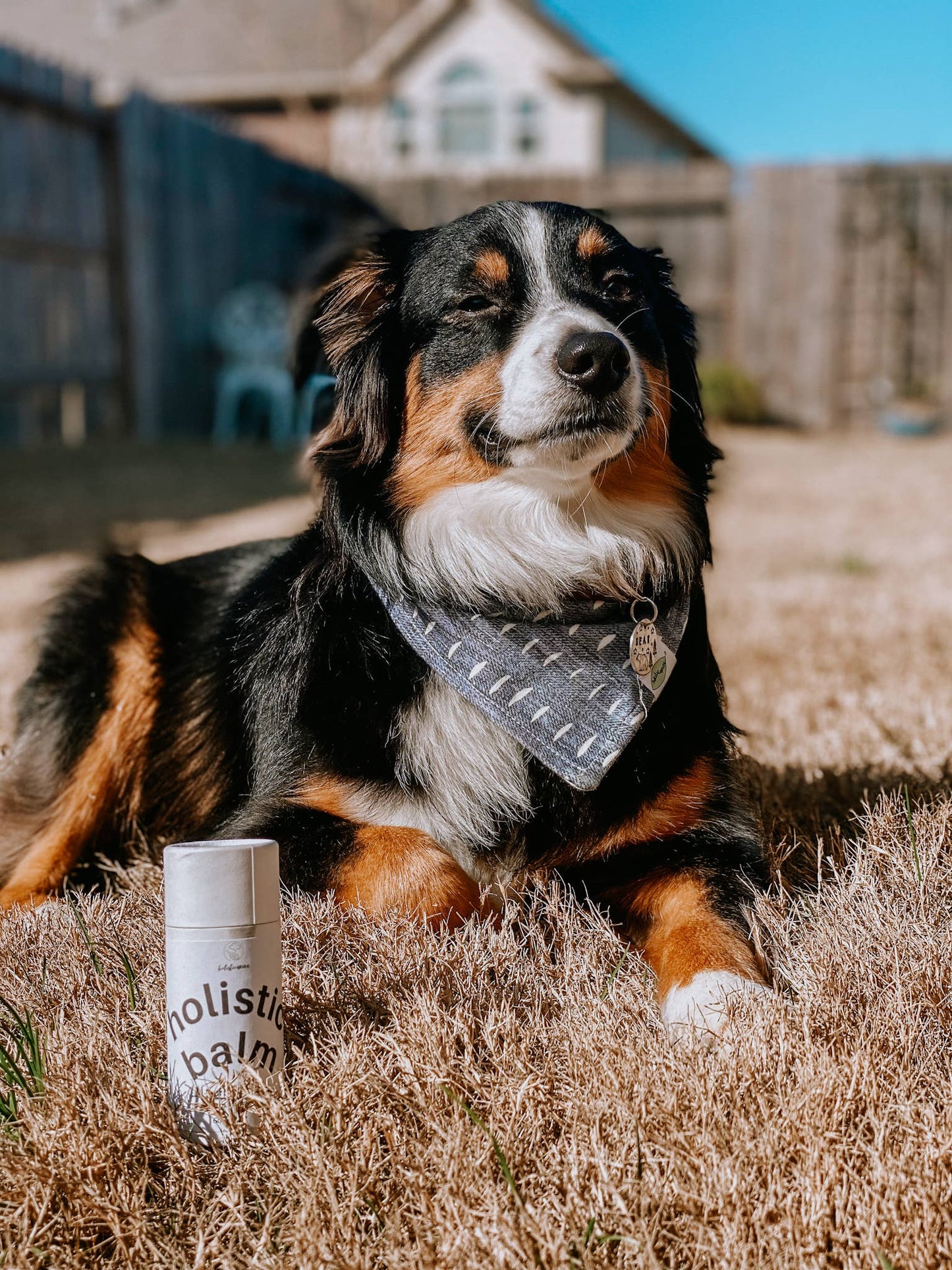 Organic & All-Purpose Balm for Paws + Skin