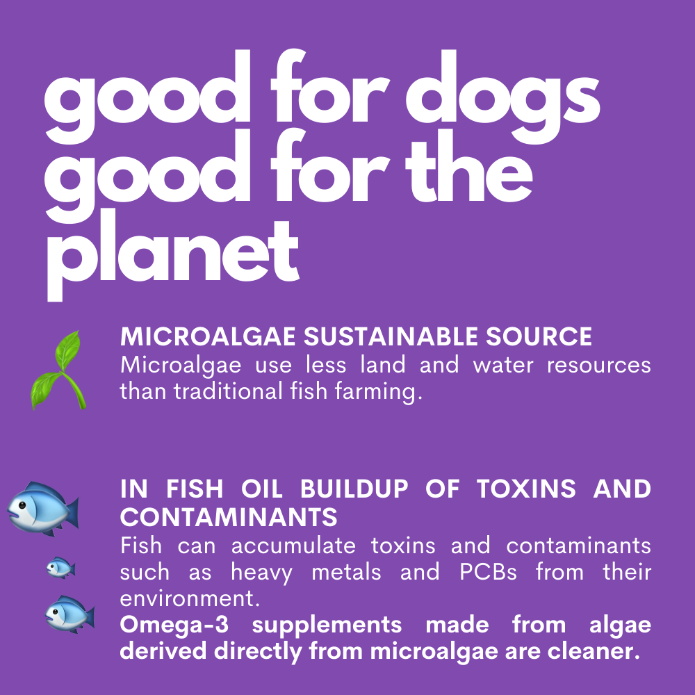 The Smart Omega - Plant-based Omega3 Oil for Dogs