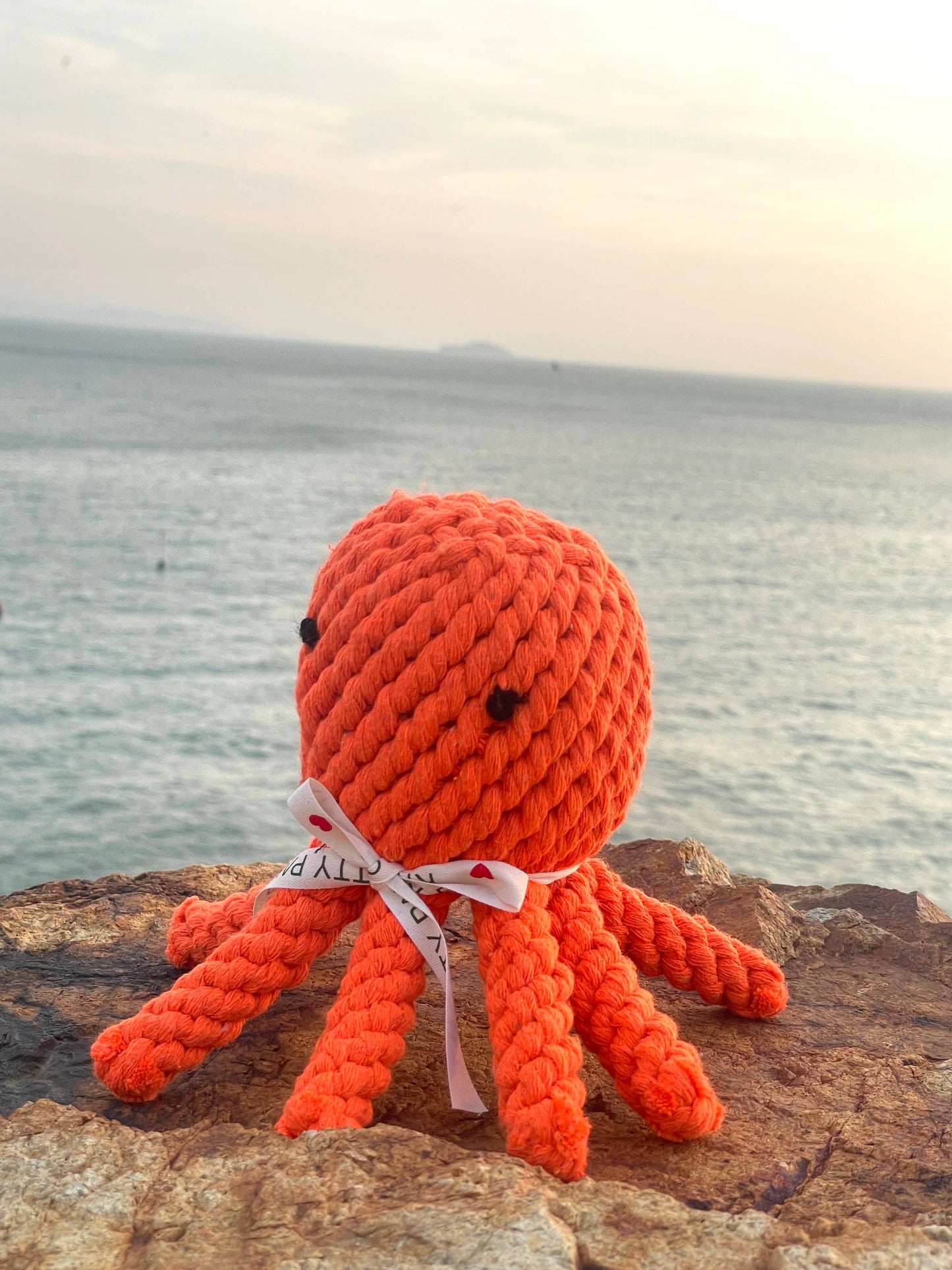 Rose The Lobster Toy