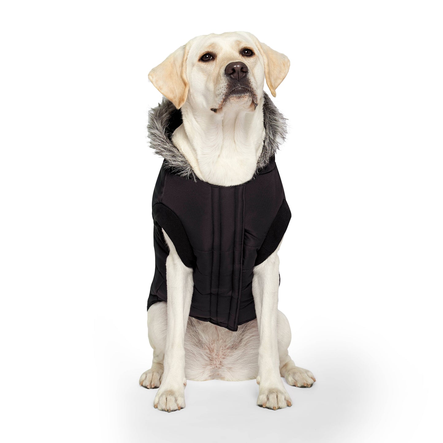 True North Dog Parka: Black / 18