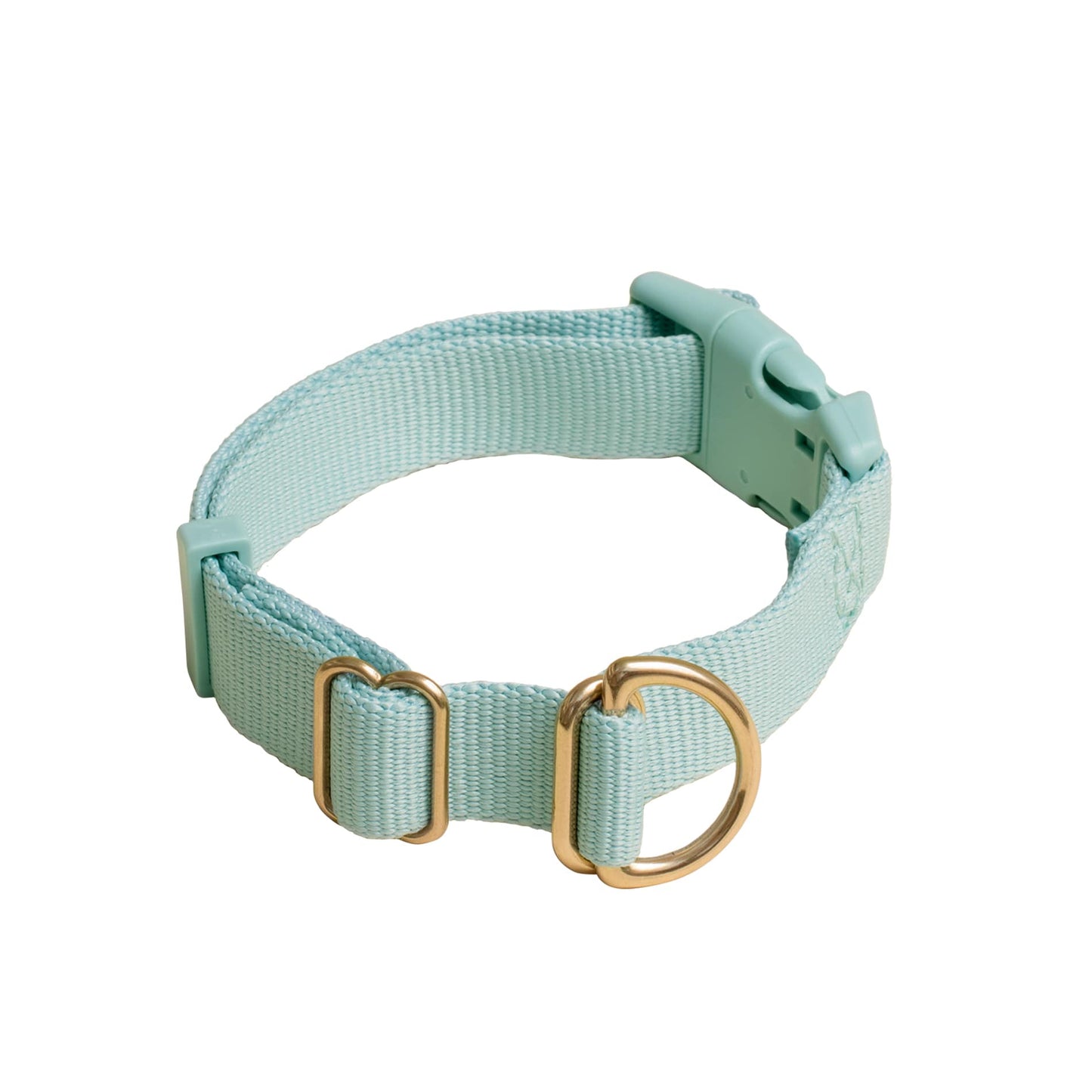 Pack Collar: PINE / Large