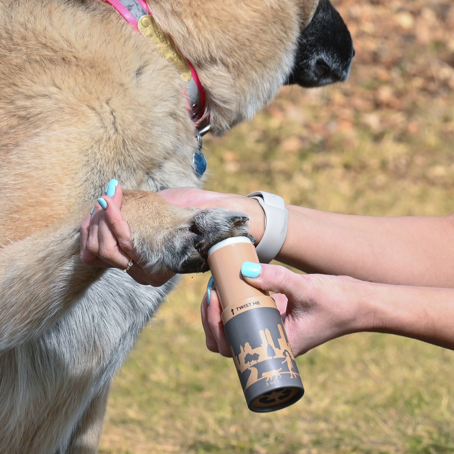 Dog Paw Protection - Street Wax 2oz