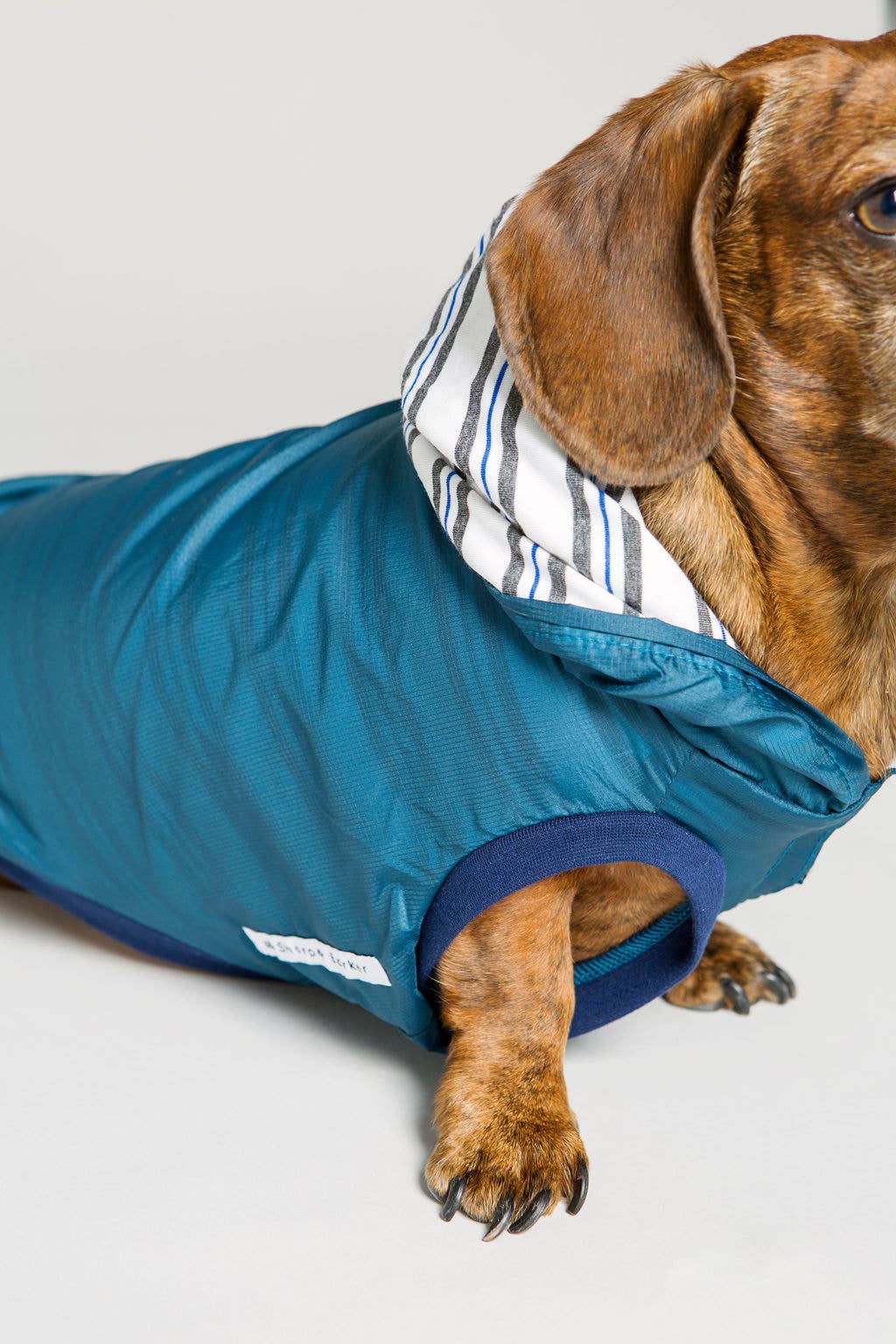 Dog Rain Jacket Jogger & Windbreaker - Teal Blue