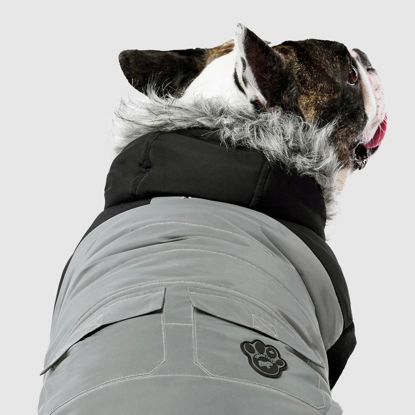 True North Dog Parka: Black / 18