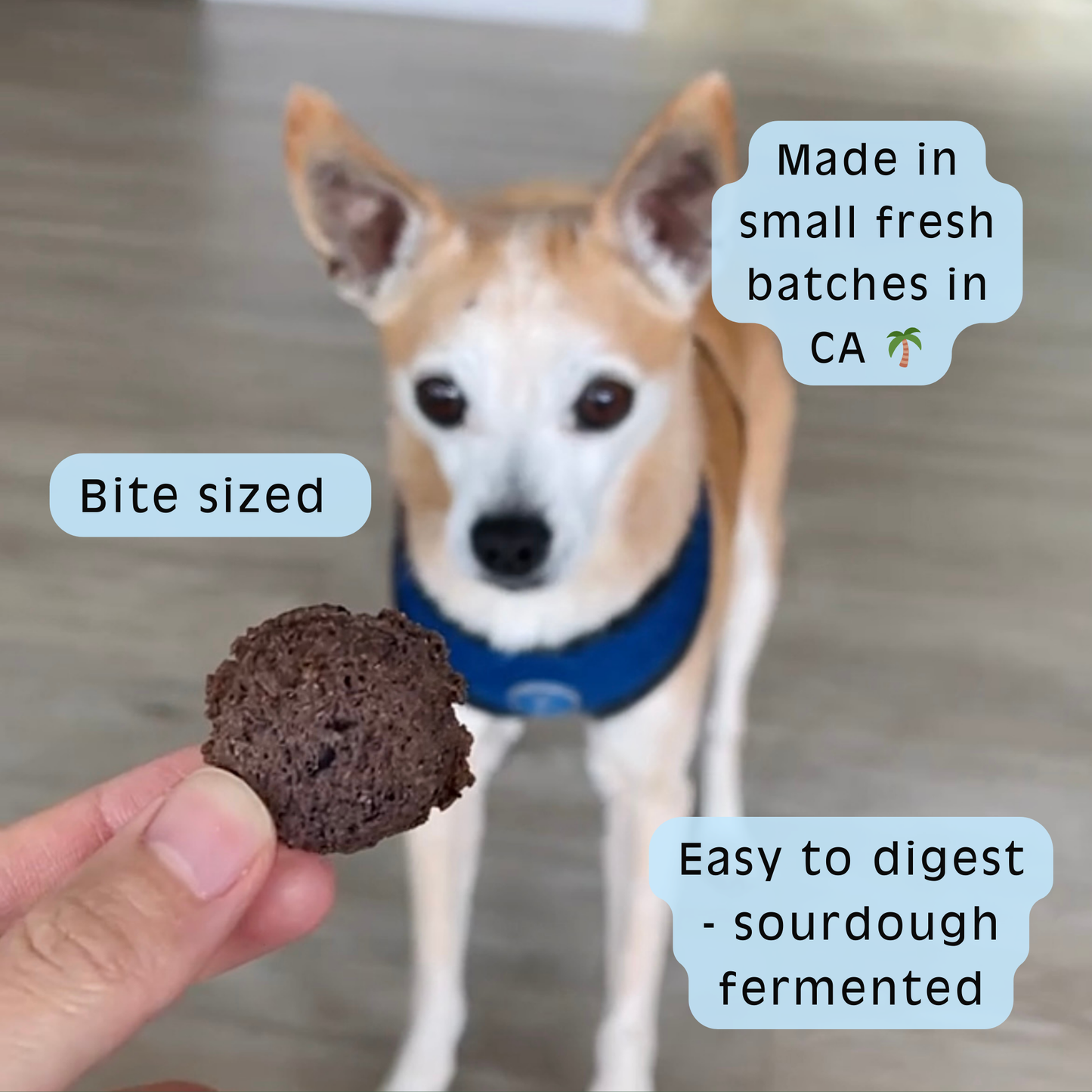 Berry Blessed- Blueberry Sourdough Dog Treats