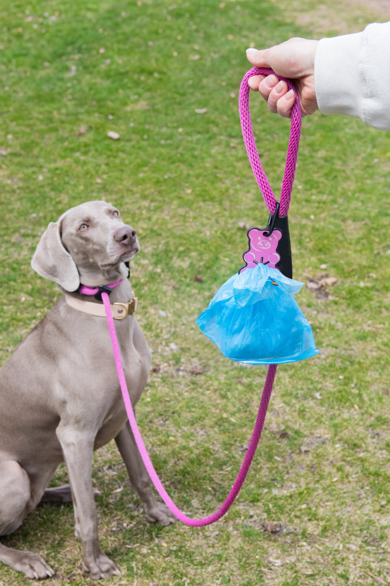 Pink Gummy Bear Poopy Loop Used Dog Waste Bag Holder