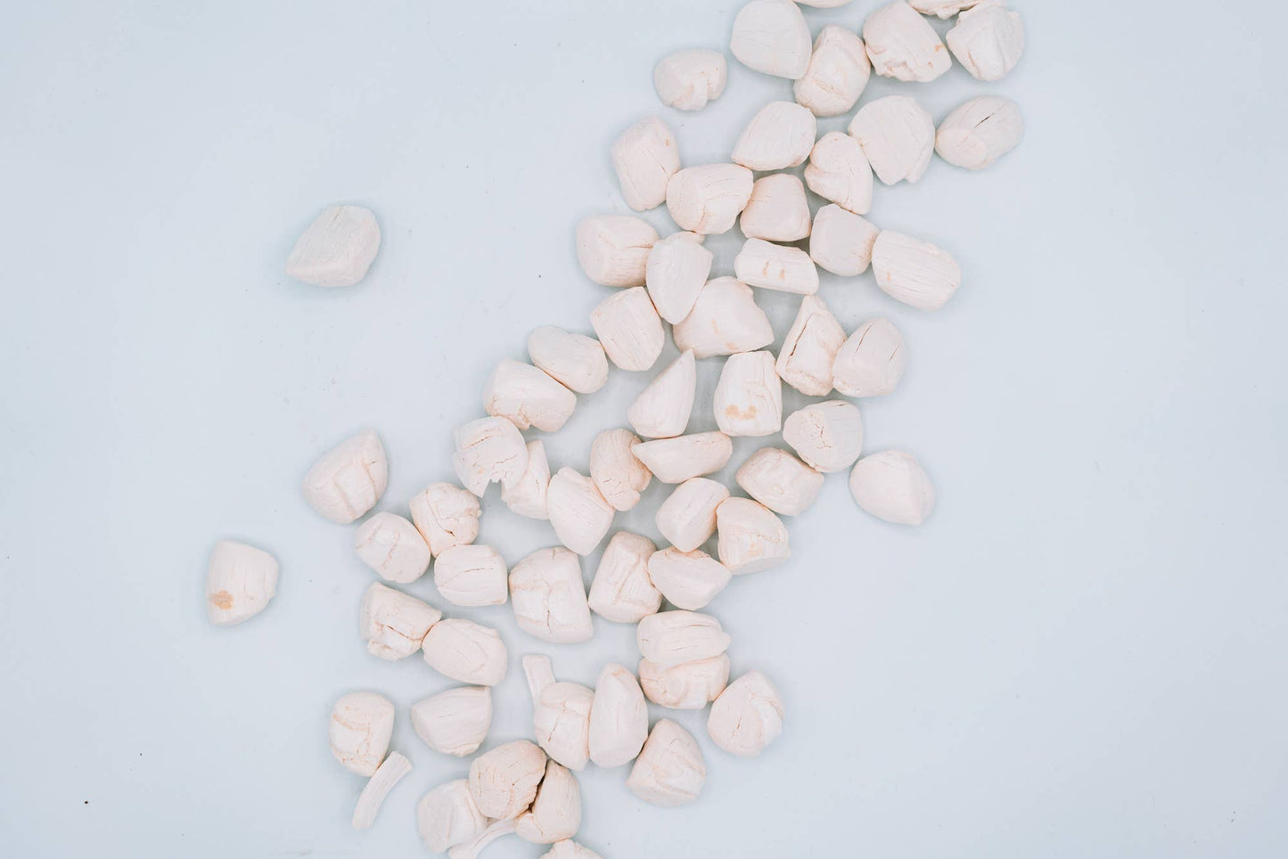 Freeze-Dried Scallops