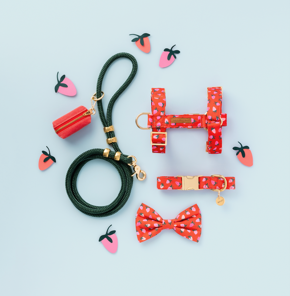 Berry Sweet Bow Tie