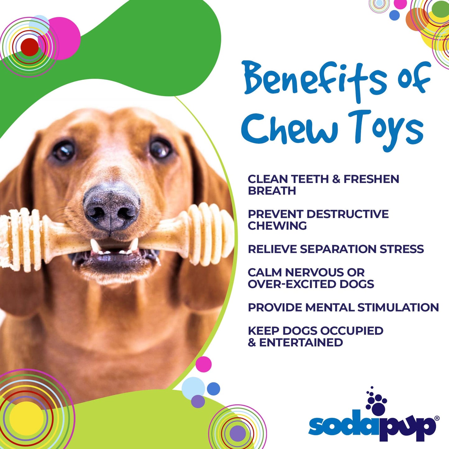 Honey Bone Nylon Chew Bone for Dogs: Small