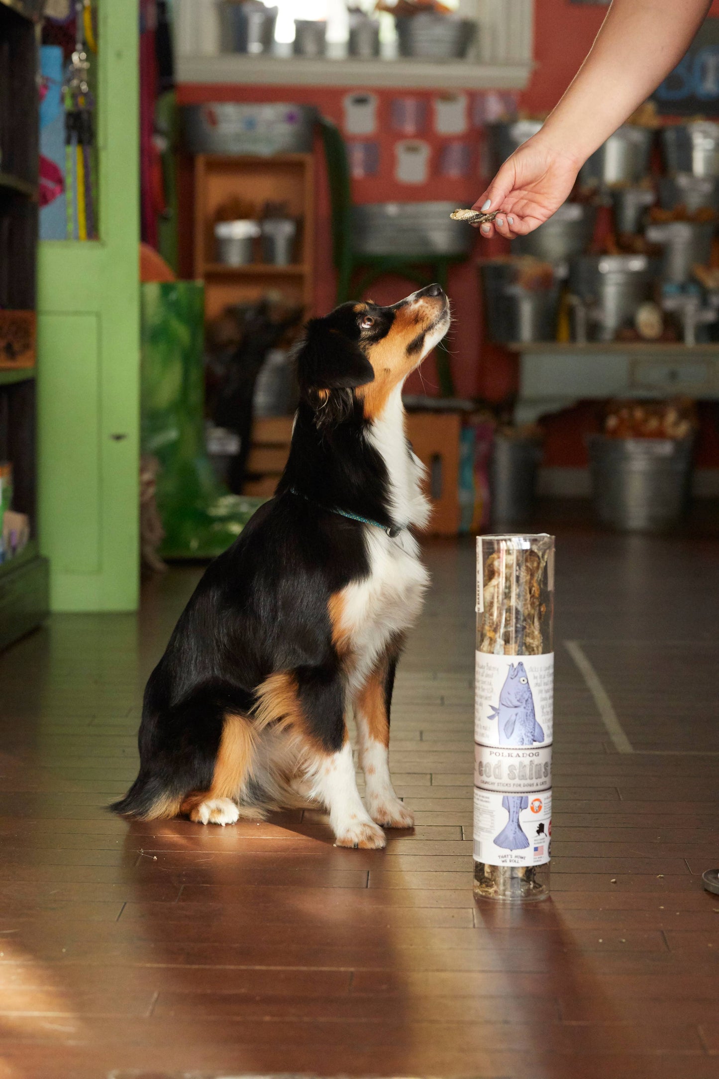 Cod Skins - 2.5oz Tube - Dog & Cat Treats