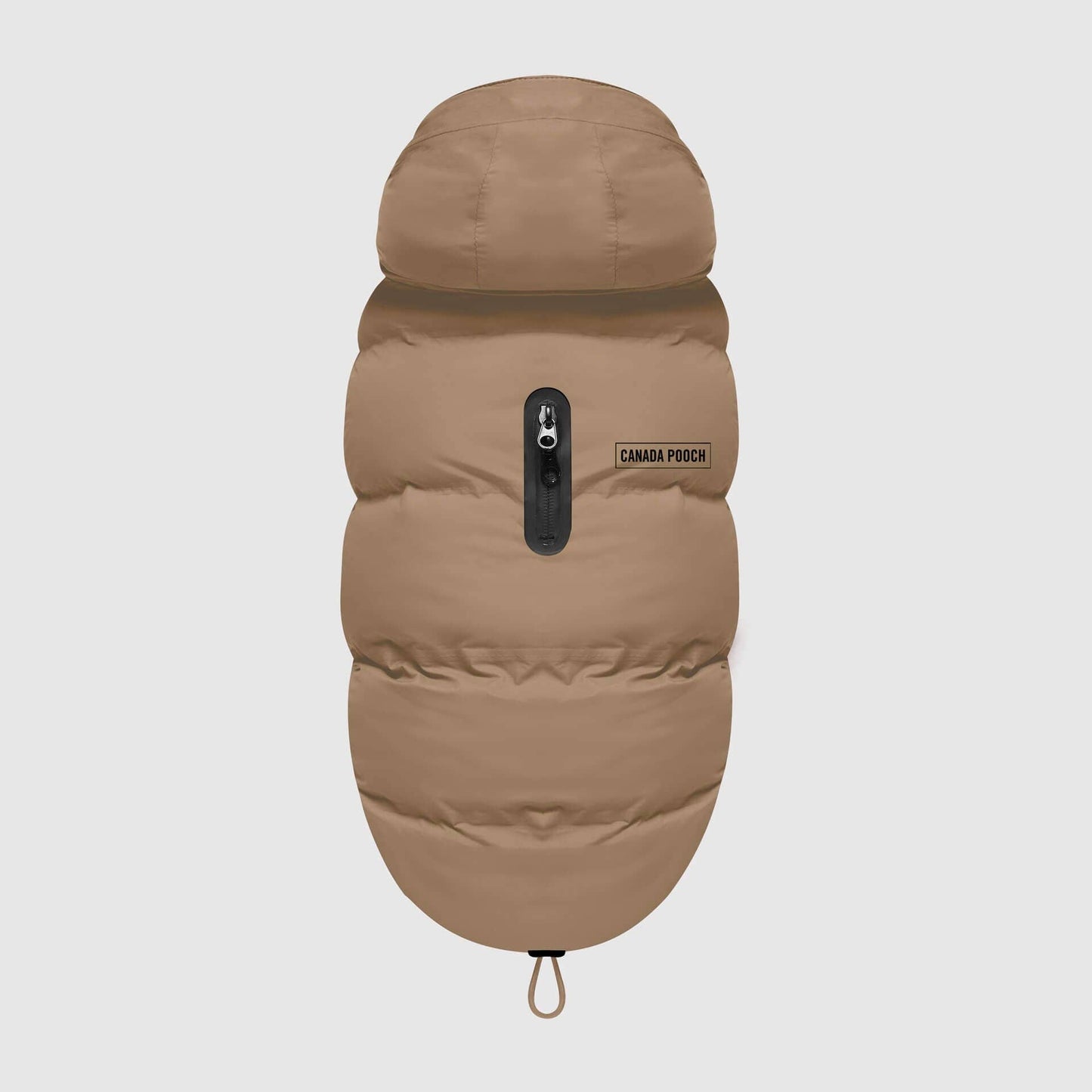 Waterproof Dog Puffer: Black / 18
