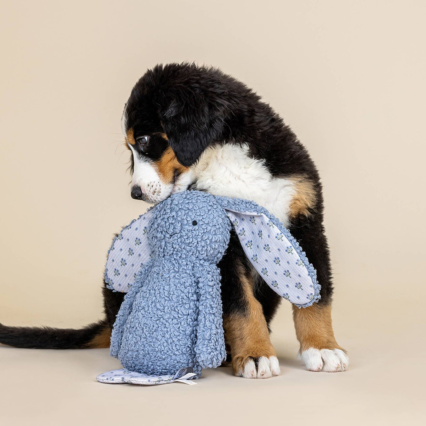 HOPPY MIXED MATERIAL DOG TOY