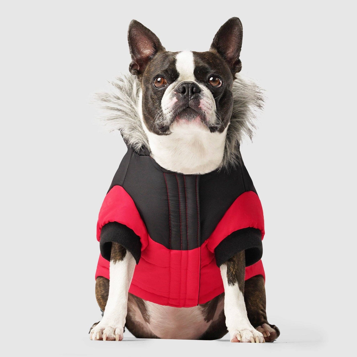 True North Dog Parka: Red / 26