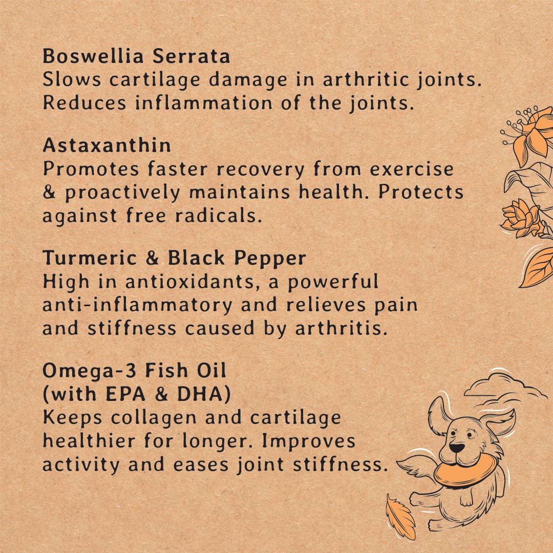 Gizzls 100% Natural Dog Treats for Joint & Mobility