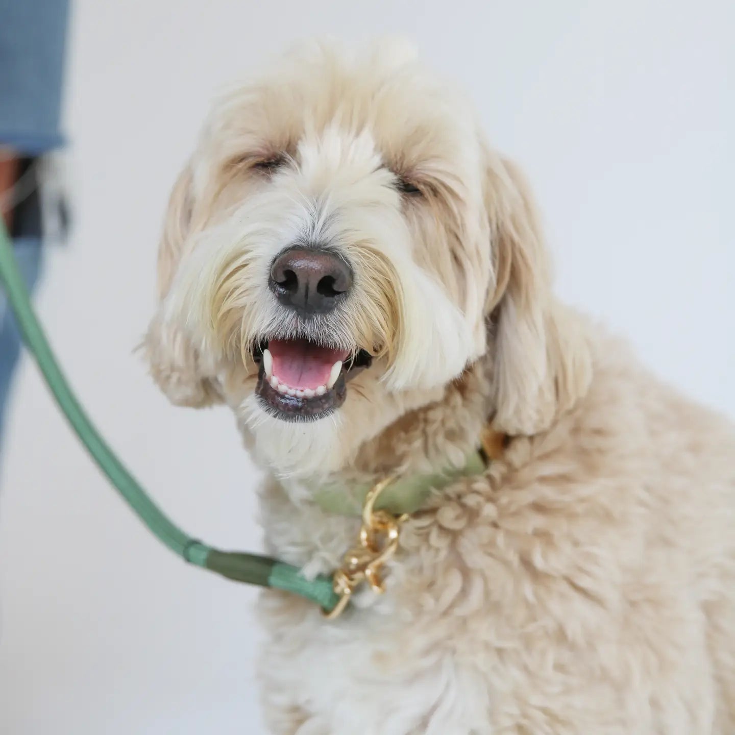 Sage Green Collar