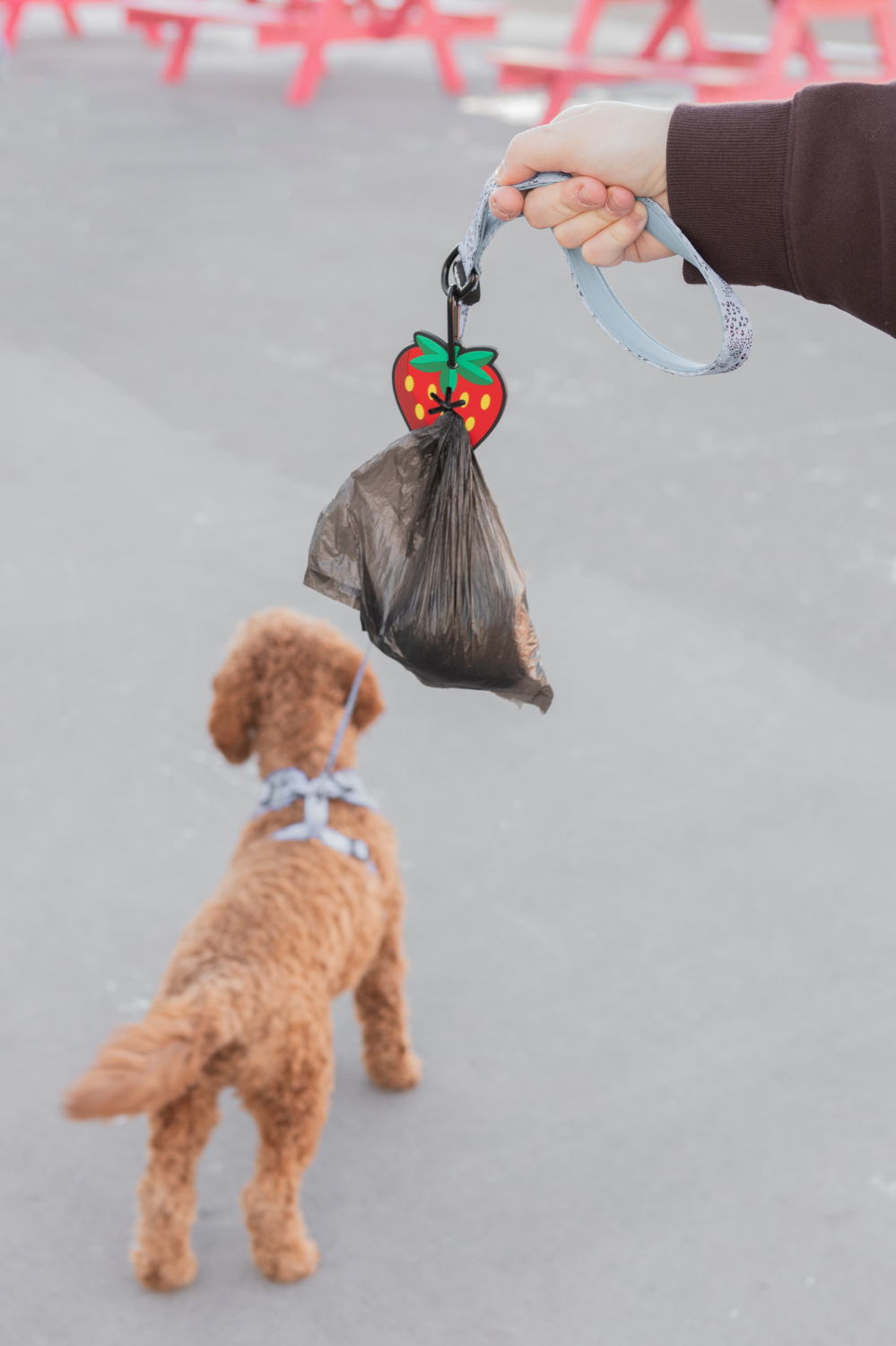 Strawberry Poopy Loop® Dog Waste Bag Holder