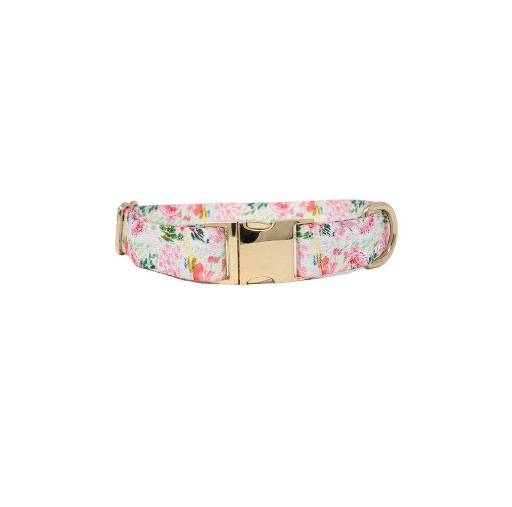 Isabella Floral Dog Collar