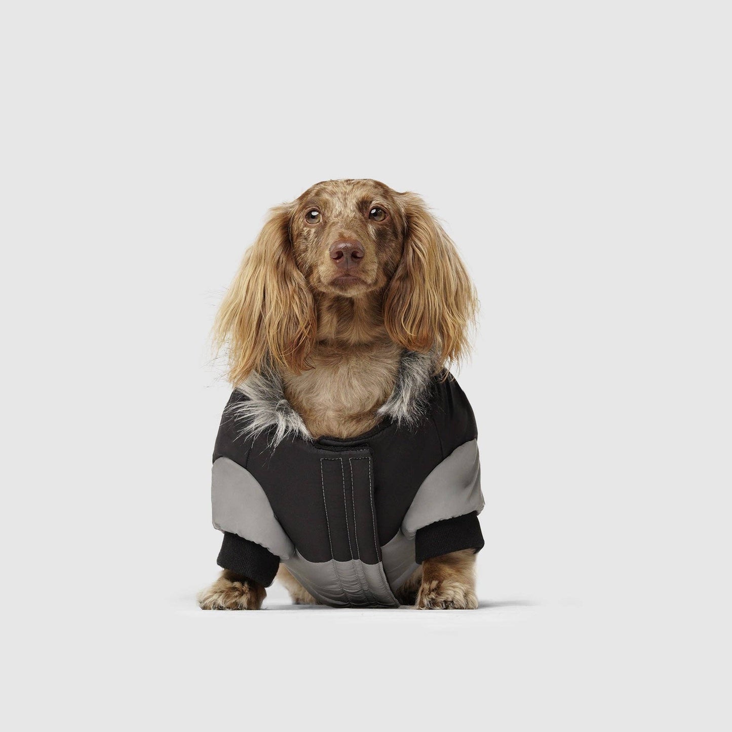 True North Dog Parka: Red / 26