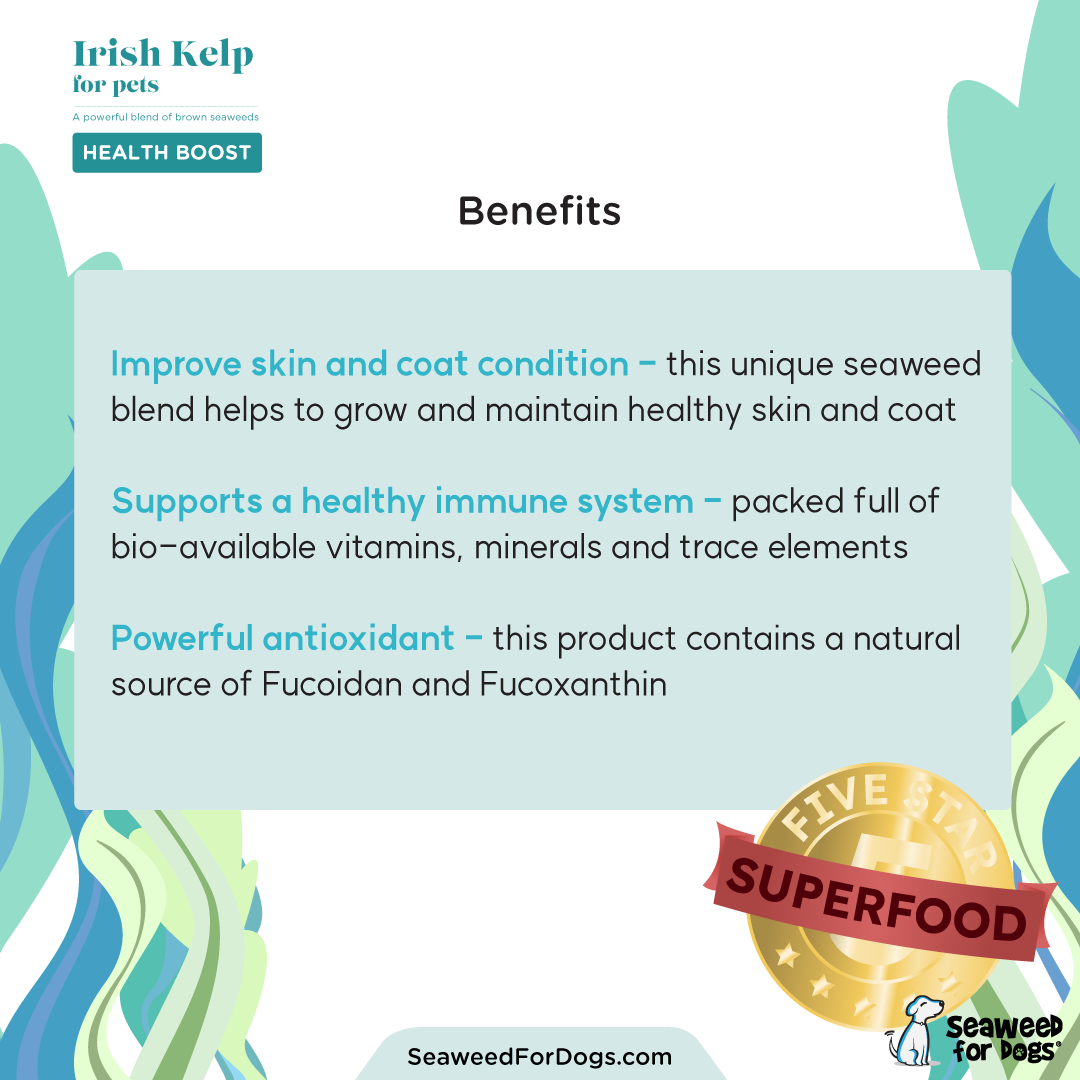 Irish Kelp - 150 grams