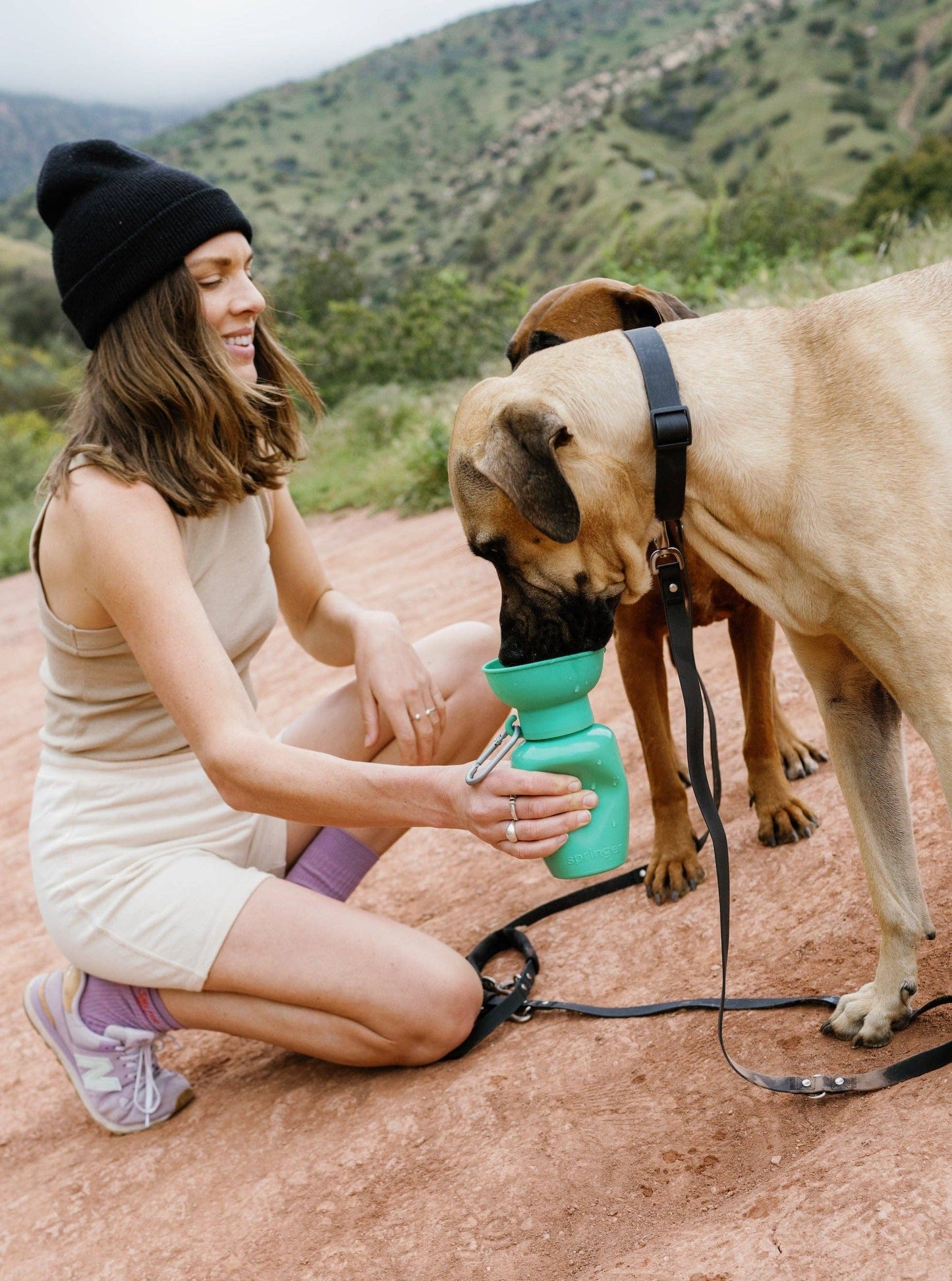 Dog Travel Water Bottle, 20oz, Flip Silicone (Mixed 12 Pack)