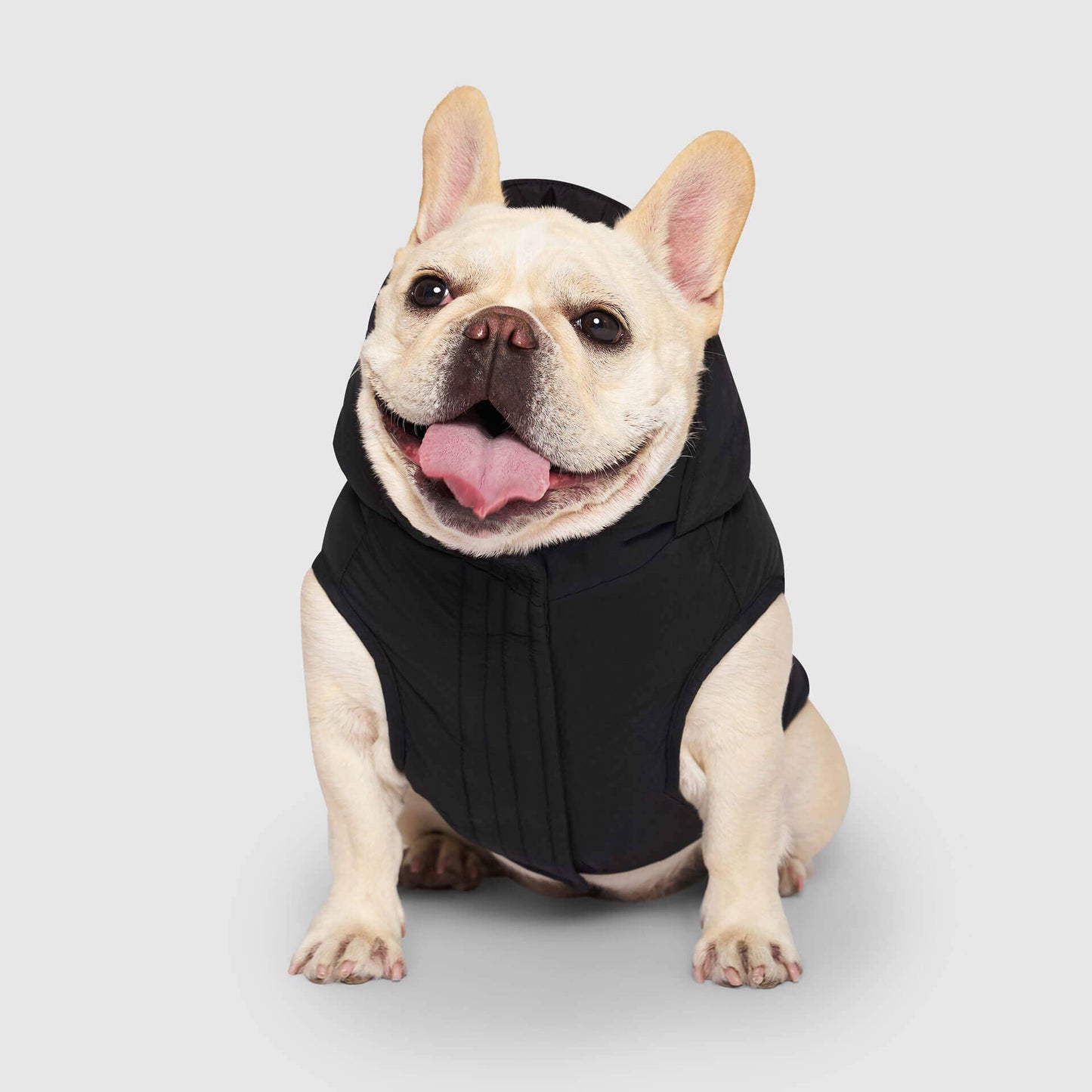 Waterproof Dog Puffer: Black / 18
