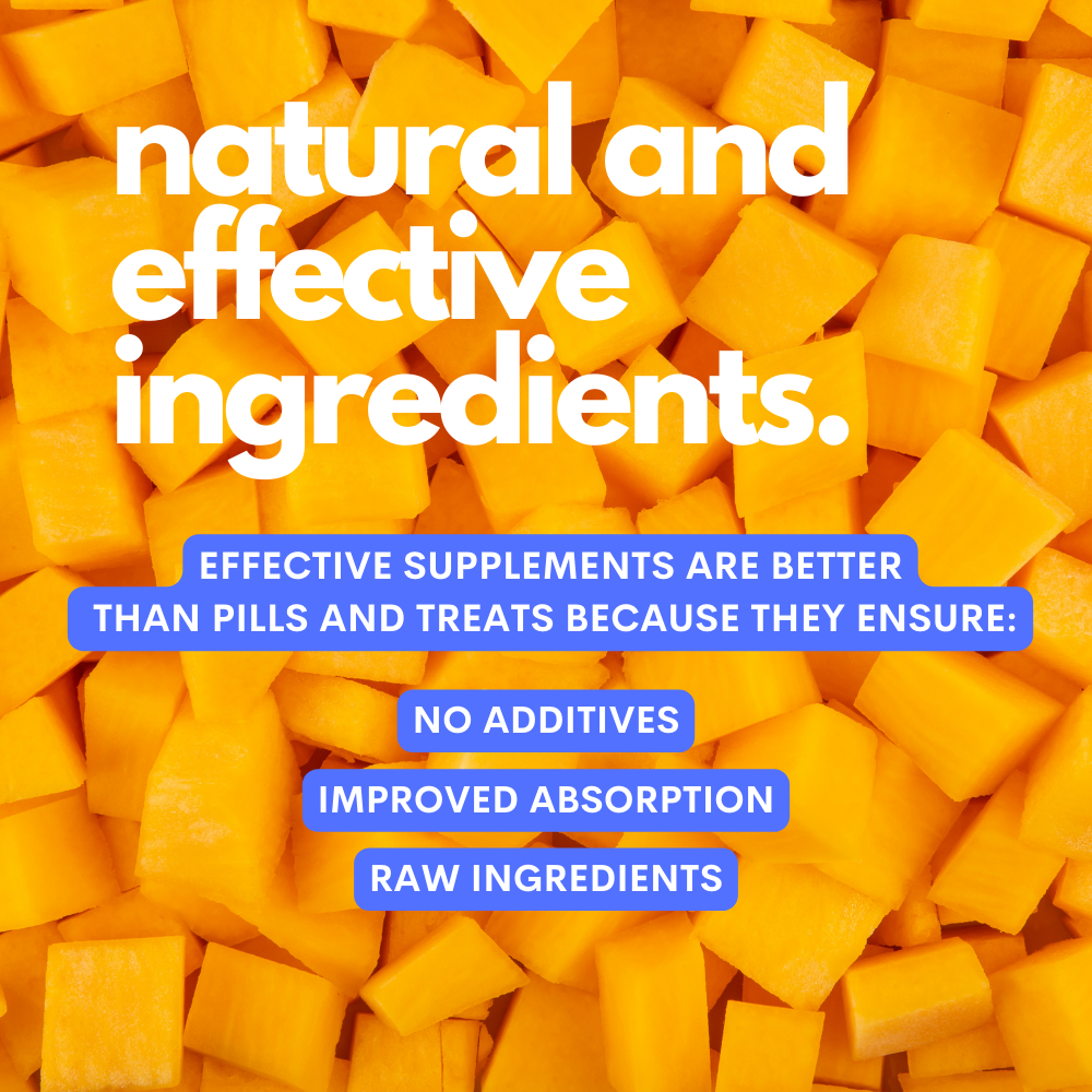 The Good Boy - Multivitamin 5 in 1 Powder Plant-based : 1 pack