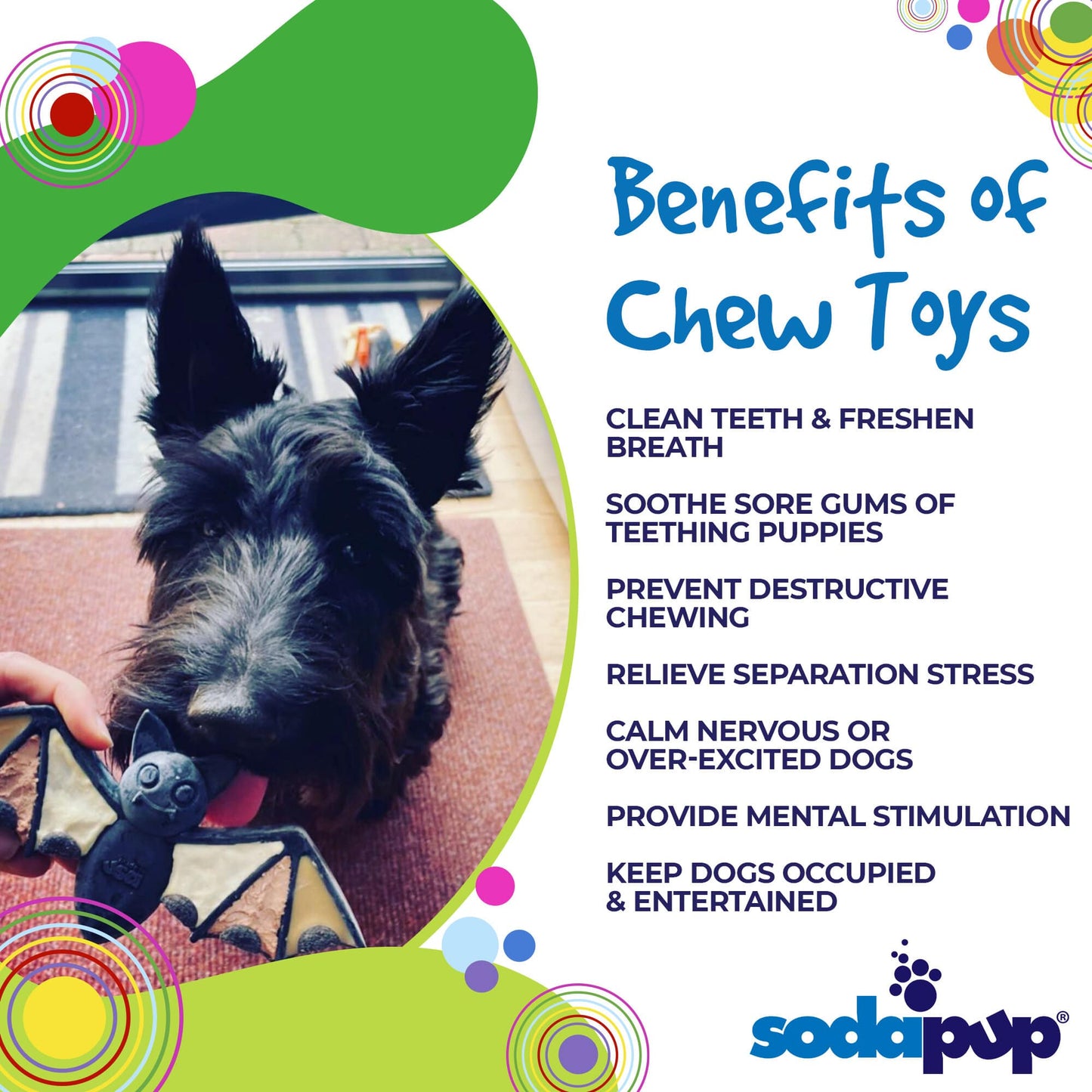 Nylon Bat Chew Toy