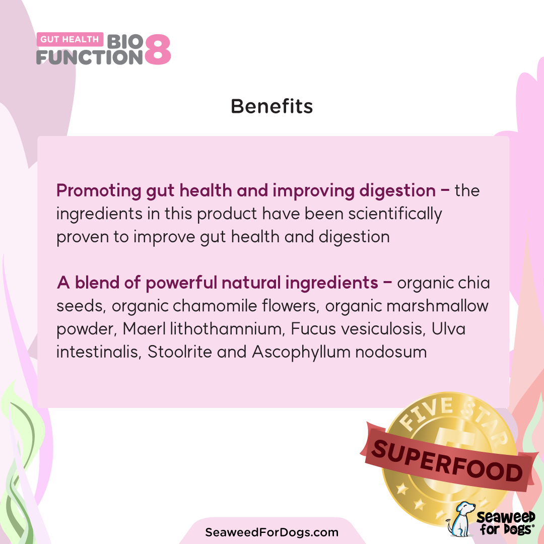 Biofunction8 Gut Health Supplement- 150 grams
