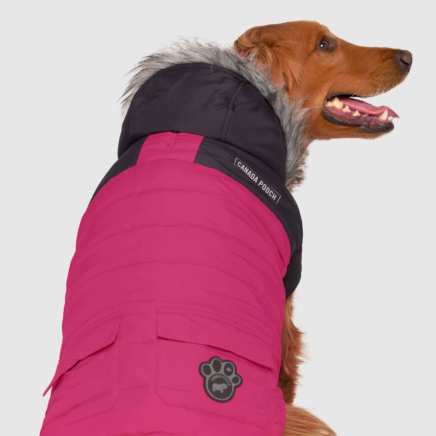True North Dog Parka: Red / 26