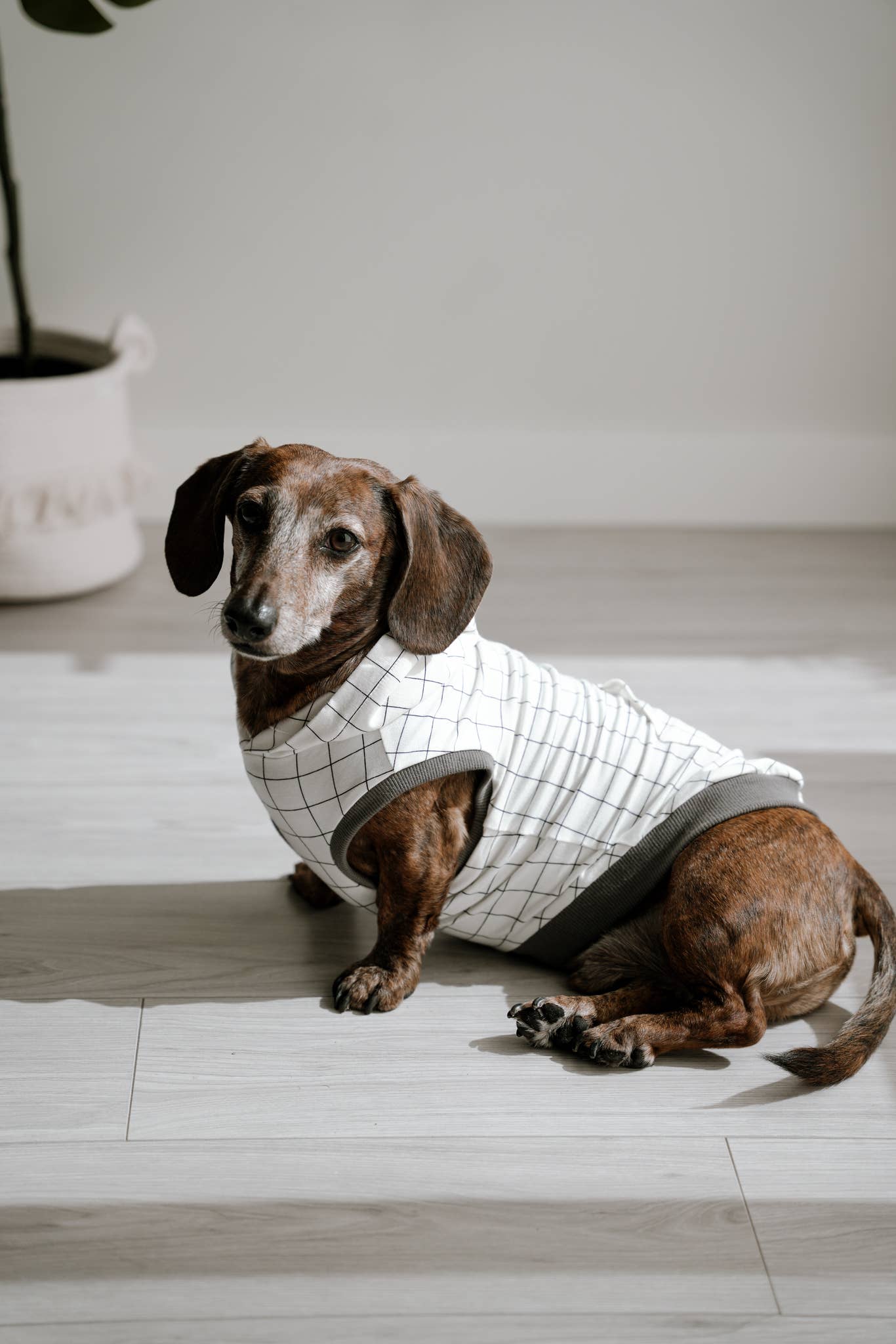 Grid Dog Hoodie