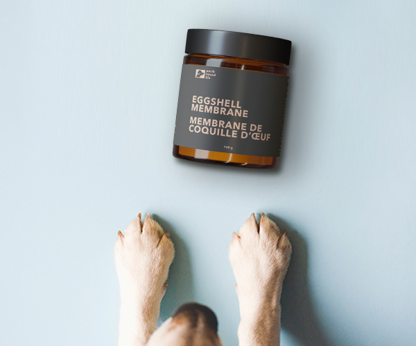 Hydrolyzed Canadian Eggshell Membrane For Joint Health: Single Jar