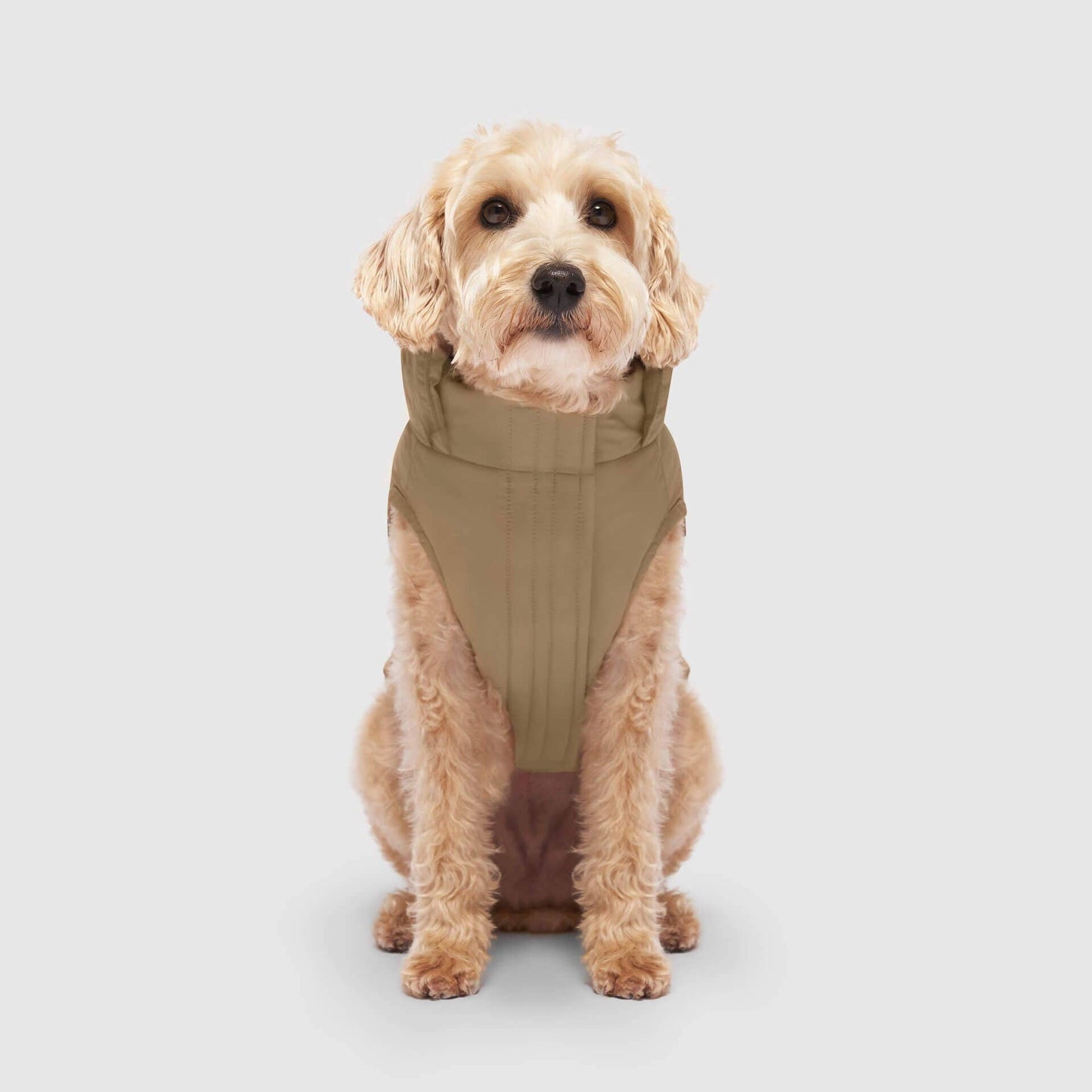 Waterproof Dog Puffer: Black / 18
