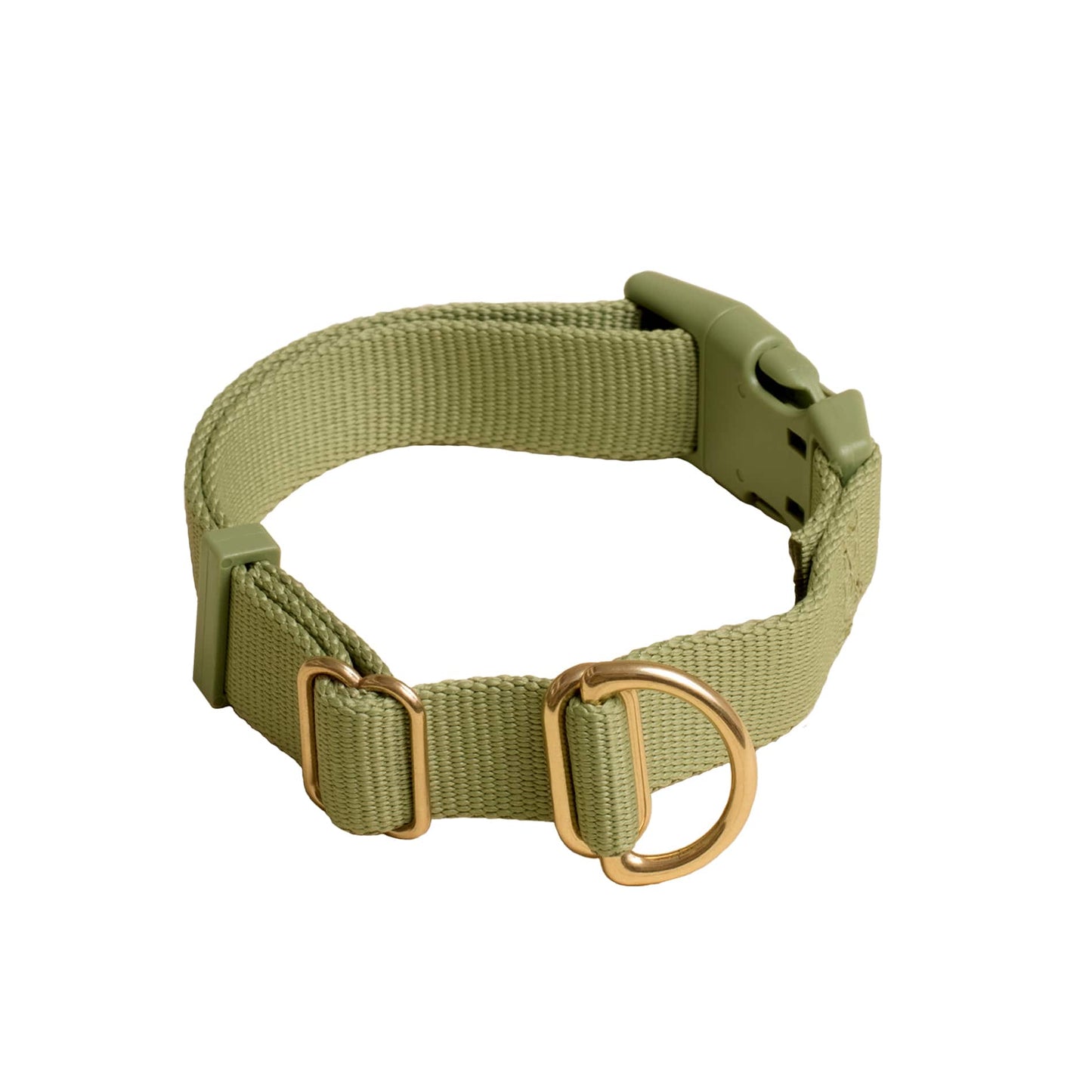 Pack Collar: PINE / Large