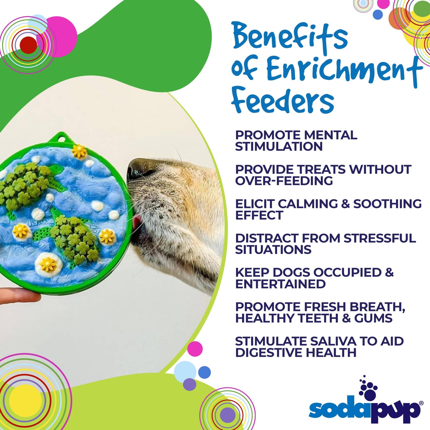 Turtle Small Durable Enrichment Coin Mat