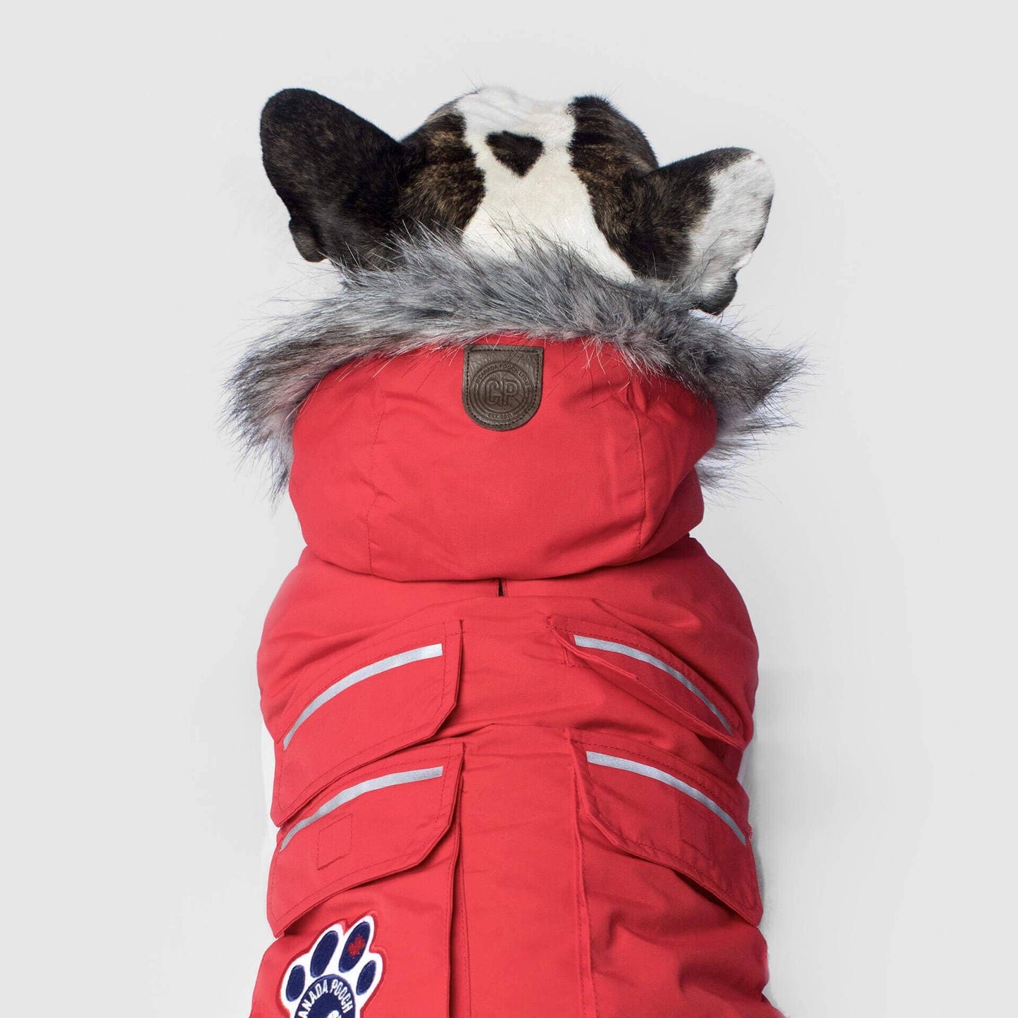 Everest Explorer Jacket- Dog Coat: Red Reflective / 24
