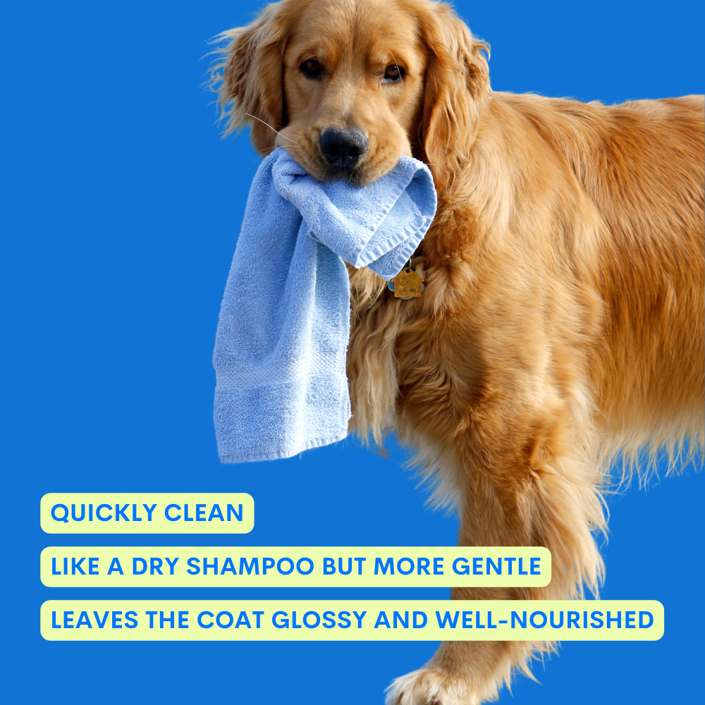 One Two Clean No-Rinse Spray