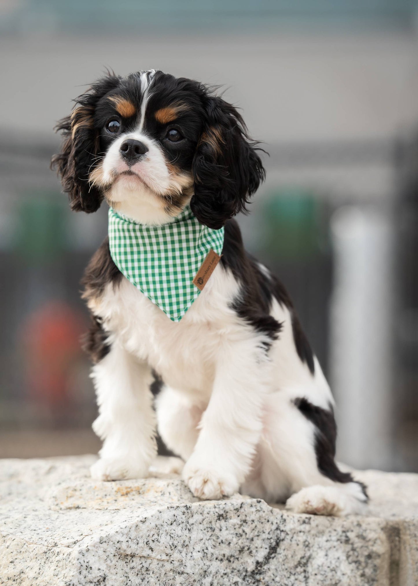 Matching Headband and Bandana- Green Gingham