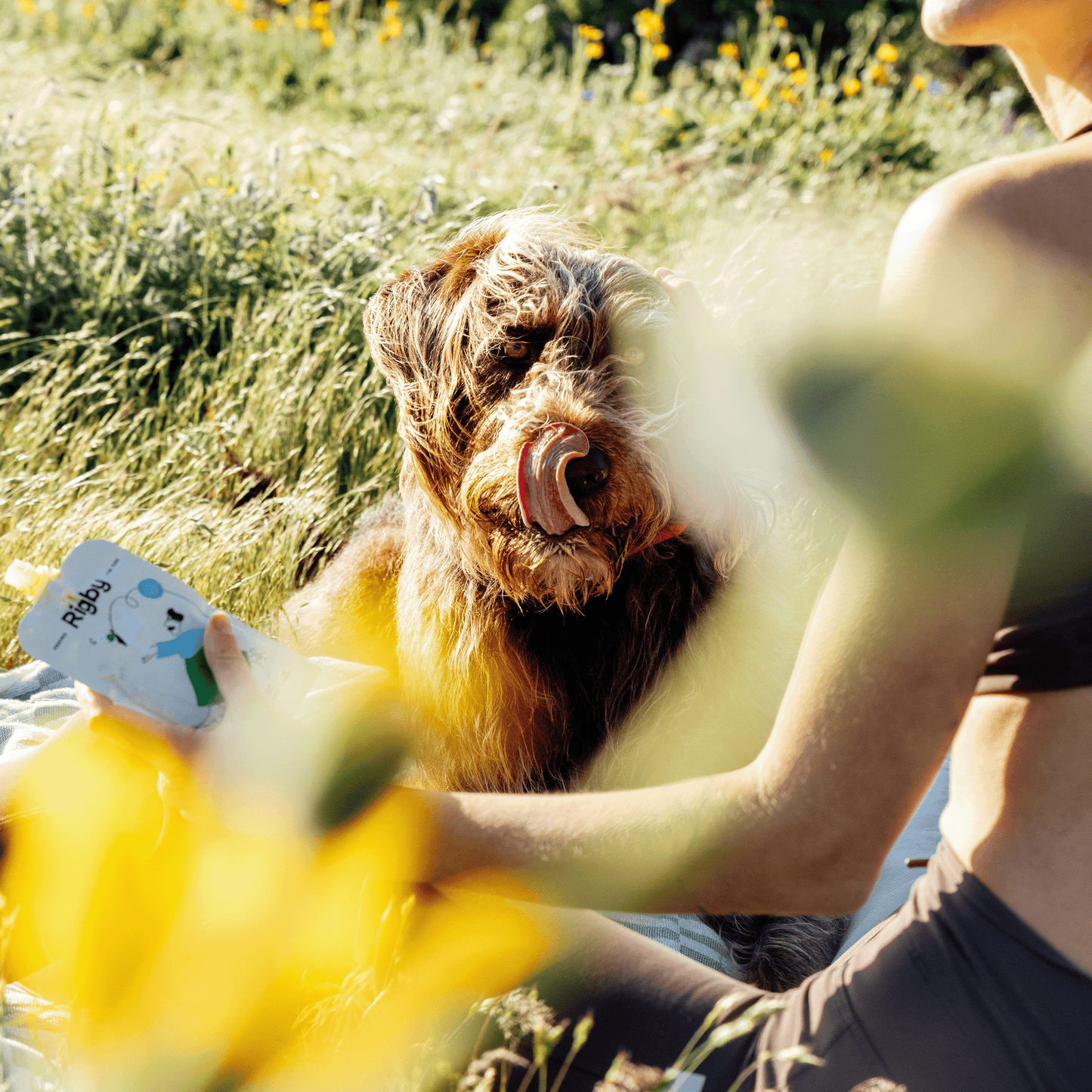 Organic Chicken Squeeze Pouch for Dogs