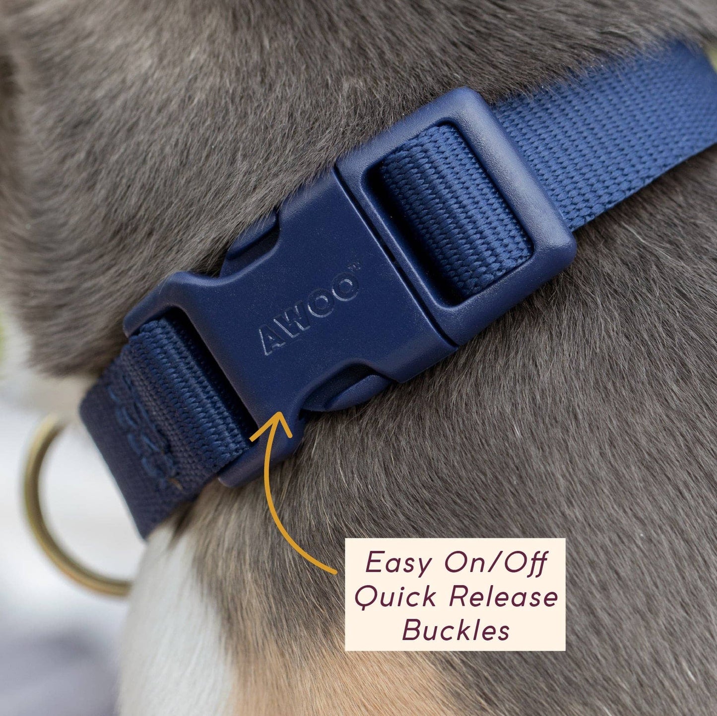Pack Collar: PINE / Large