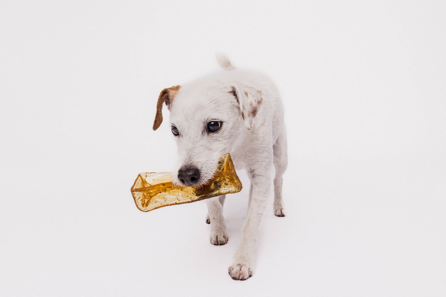 Mighty Marrows Collagen Dental Chew - Spirulina Beef